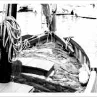 Barques au Port - Saint Cyprien Plage (3 sur 6)